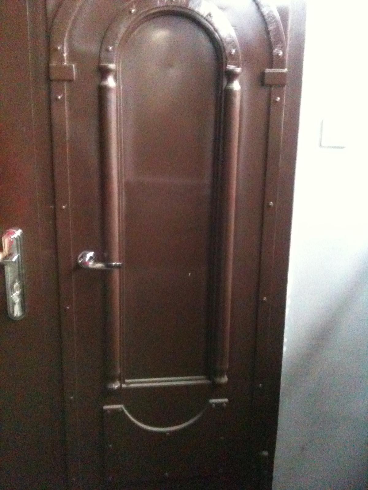 Metal Doors project 7
